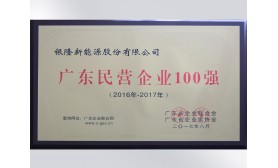 2016廣東民營企業(yè)100強